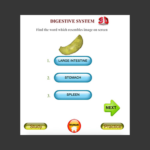 ANATOMY 3D – Human Anatomy, Animal, Plant, Insect (Windows or Mac)