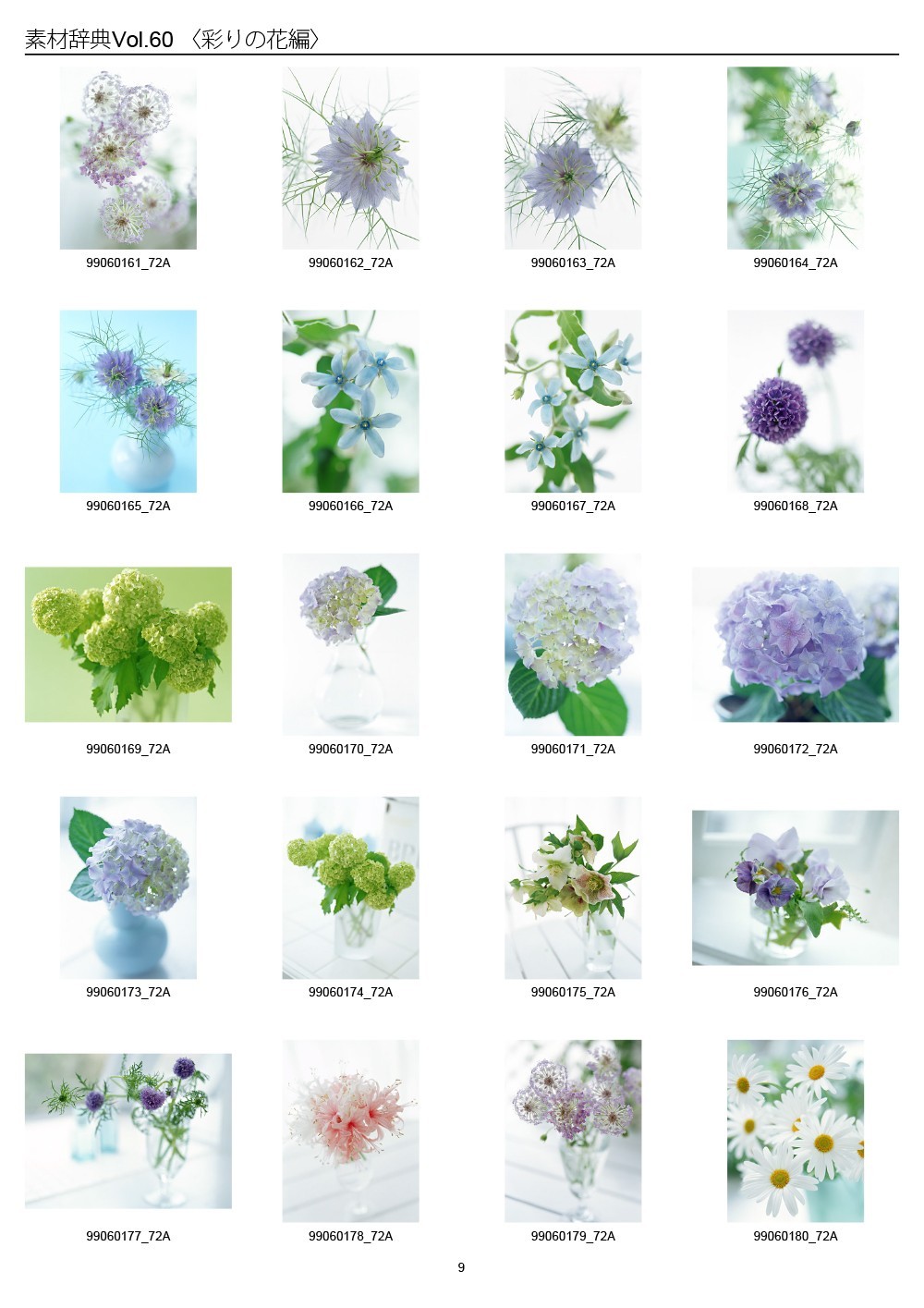 Colorful Flowers Japan Sozaijiten Vol.60 CD-ROM Mac Windows HR-SJ60 R7