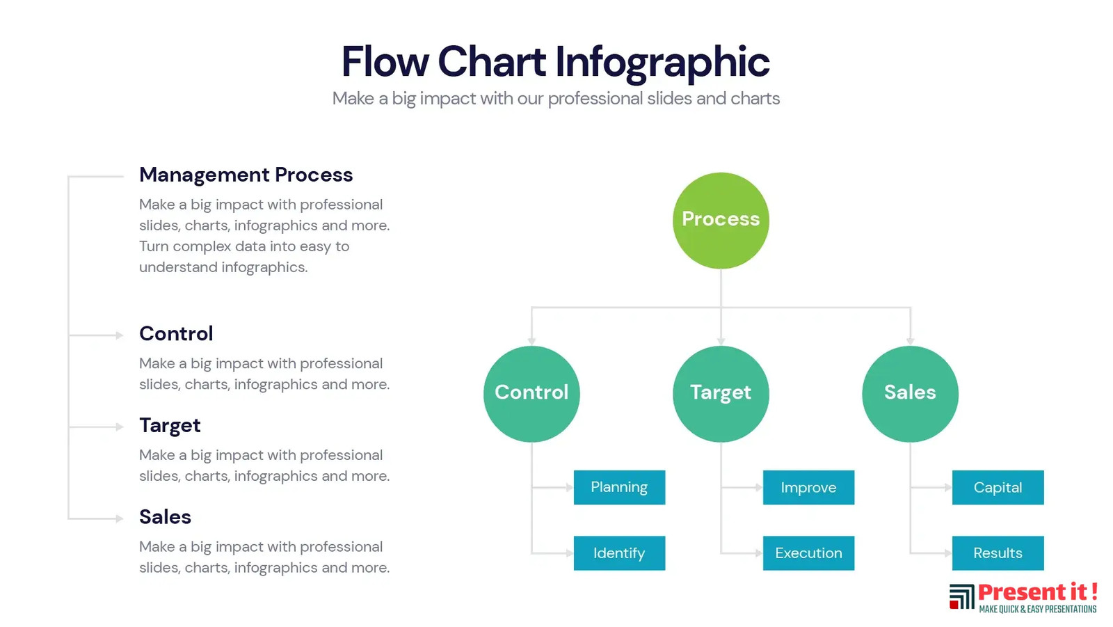 Flow Chart Infographic | Premium Templates