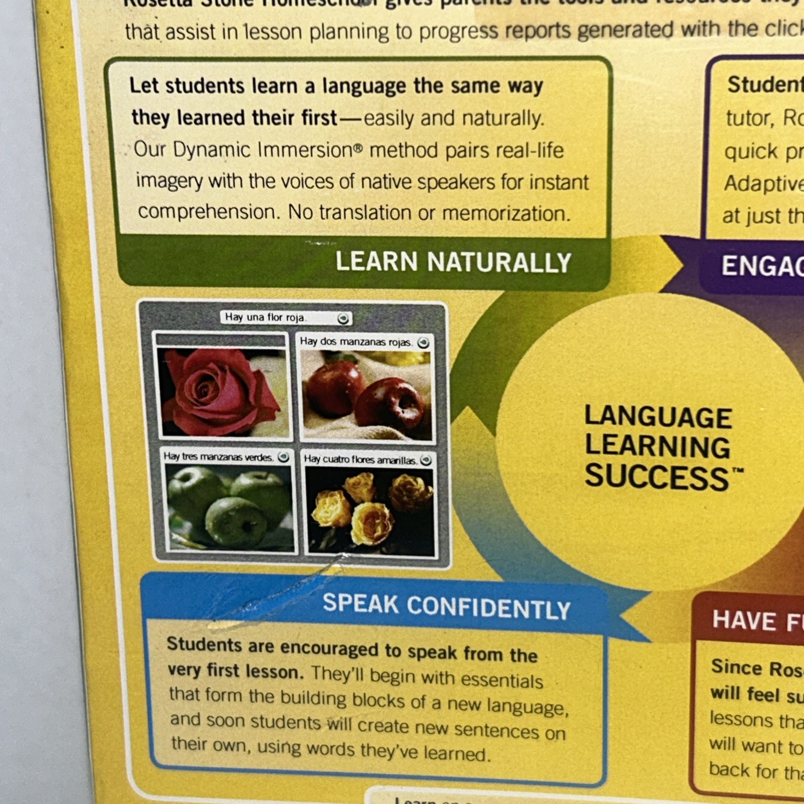 Rosetta Stone Homeschool German Level 1 including Audio Companion