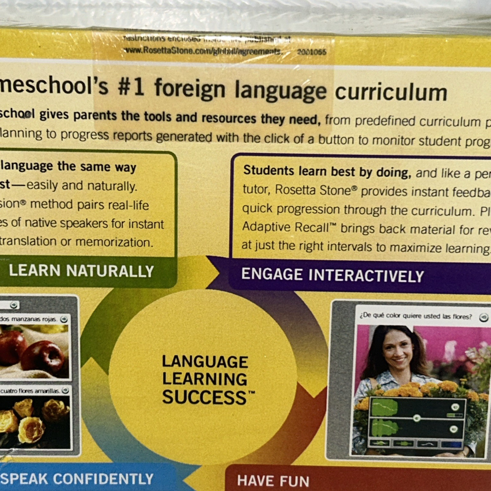 Rosetta Stone Homeschool German Level 1 including Audio Companion