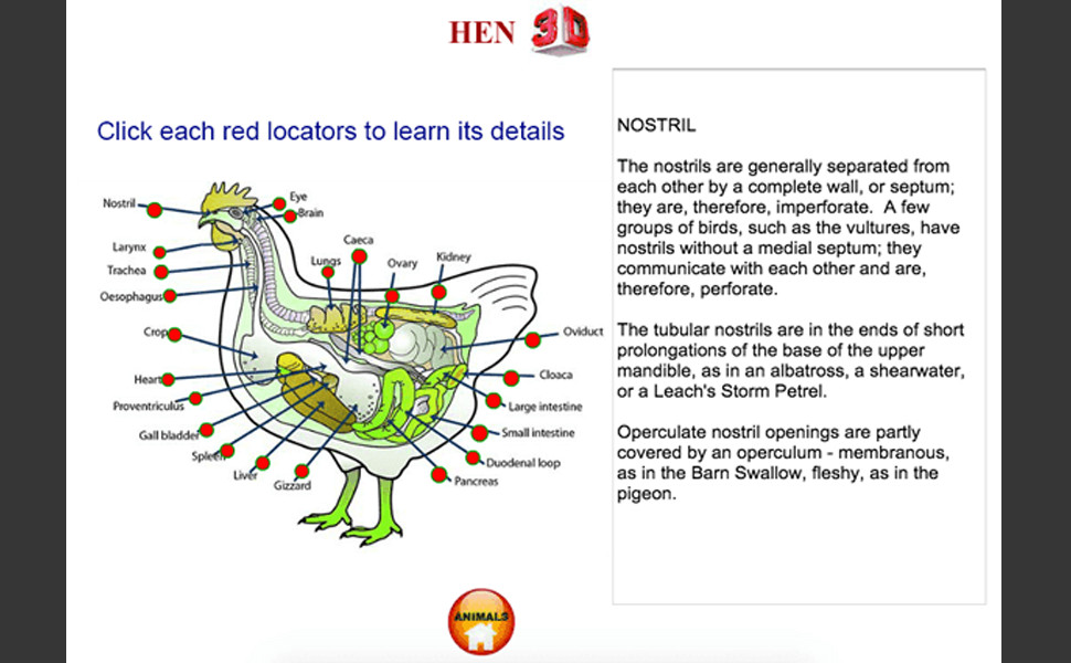 ANATOMY 3D – Human Anatomy, Animal, Plant, Insect (Windows or Mac)