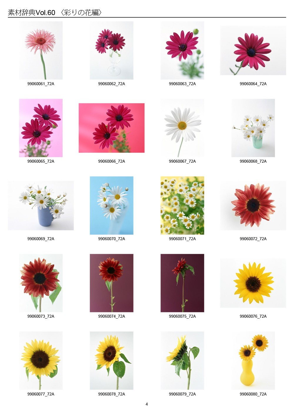 Colorful Flowers Japan Sozaijiten Vol.60 CD-ROM Mac Windows HR-SJ60 R7