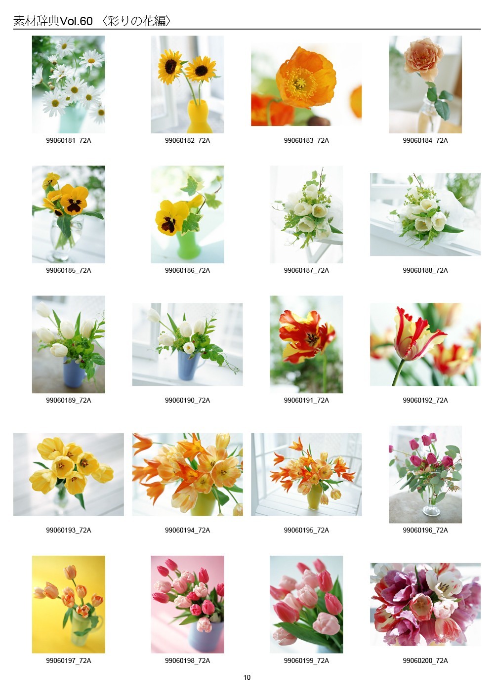 Colorful Flowers Japan Sozaijiten Vol.60 CD-ROM Mac Windows HR-SJ60 R7