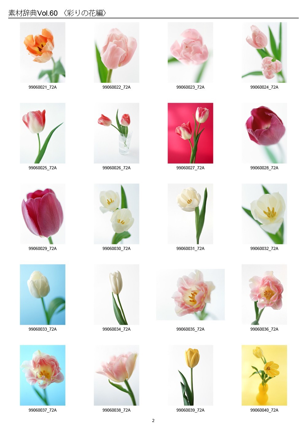 Colorful Flowers Japan Sozaijiten Vol.60 CD-ROM Mac Windows HR-SJ60 R7