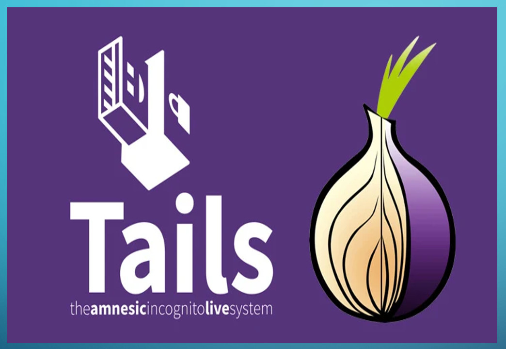 Tails Linux 6.10 USB Drive Live Bootable Installer Bootable