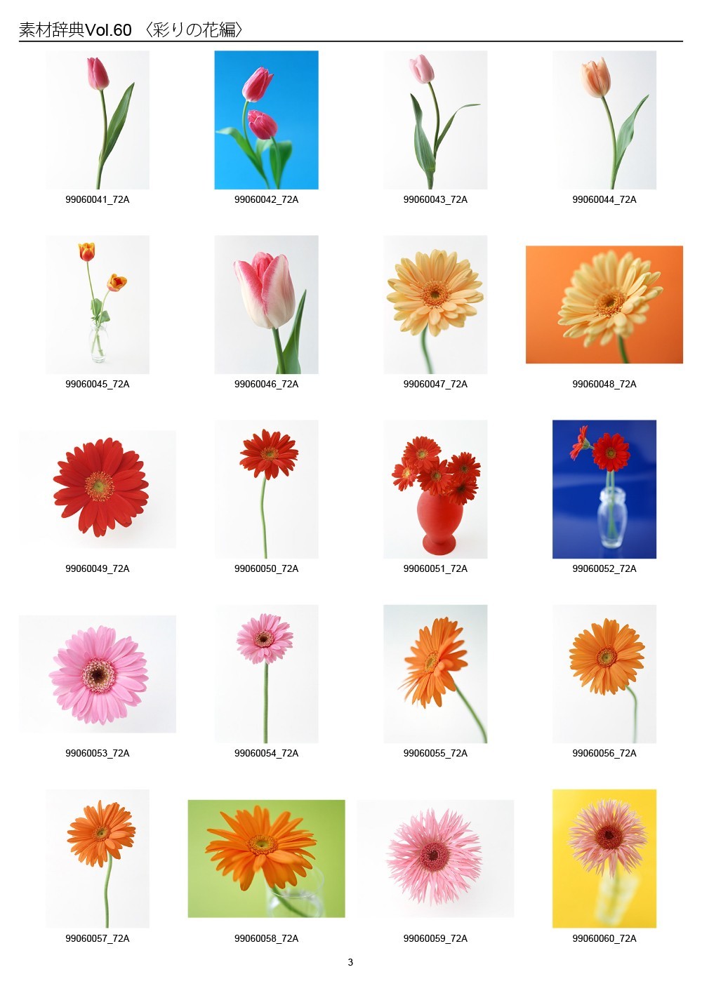 Colorful Flowers Japan Sozaijiten Vol.60 CD-ROM Mac Windows HR-SJ60 R7