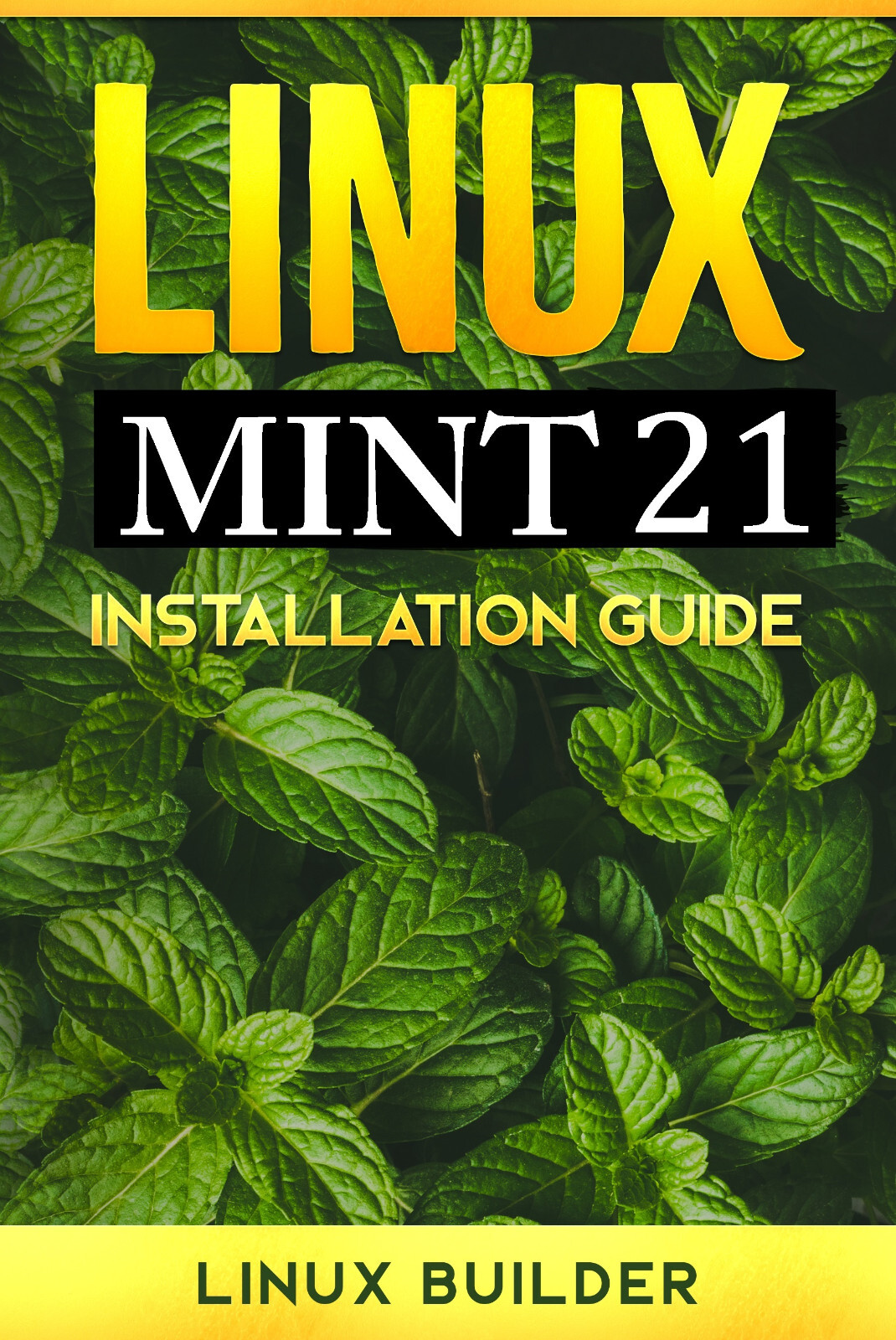 Linux Mint 22 LTS 64 Bit Bootable 8GB USB Flash Drive And Install Guide