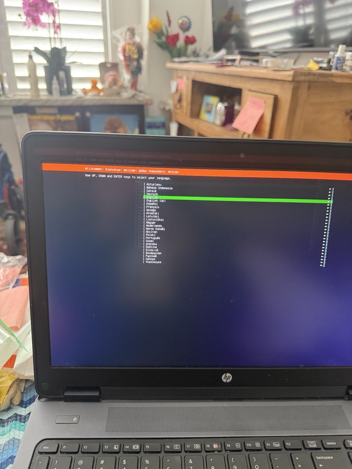 ubuntu SERVER 24.10 usb 4gb Key latest Release Canada USA PUERTO RICO CHIT CHATS