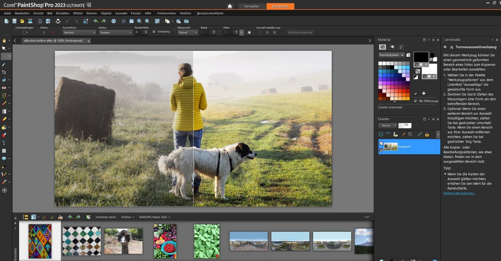 Corel PaintShop Pro 2023 Ultimate Full Version Win Box Perpetual License + Manual NEW
