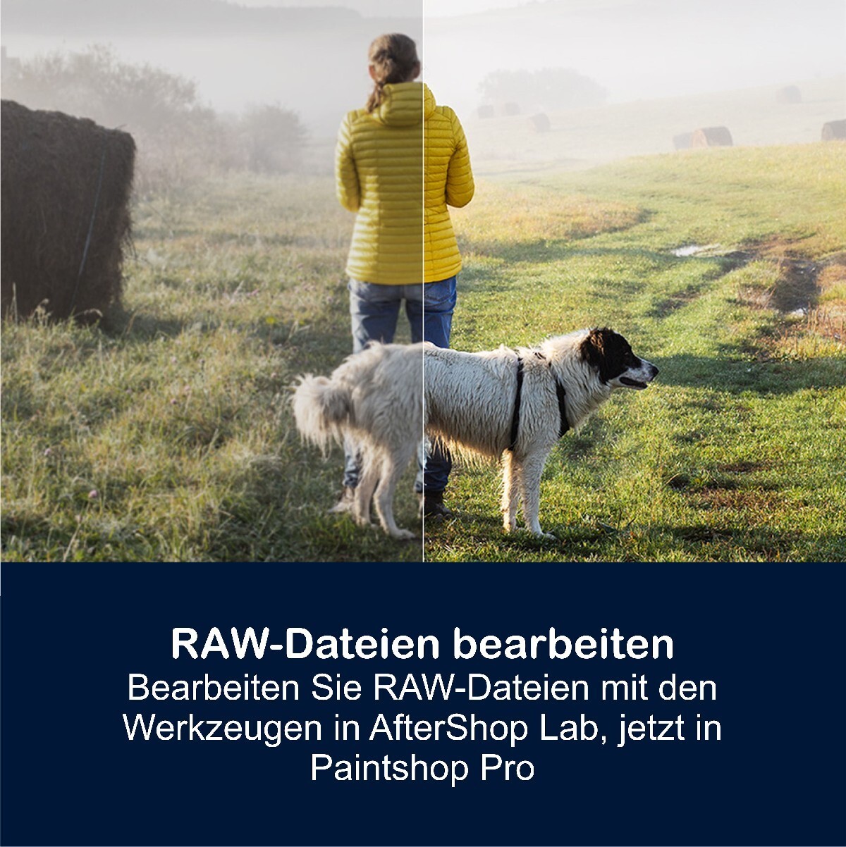 Corel PaintShop Pro 2023 Ultimate Full Version Win Box Perpetual License + Manual NEW