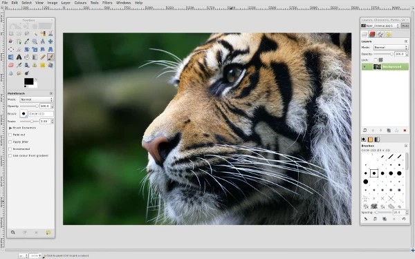 Professional Graphics Software Collection DVD 2023 USA Paint, Draw, PC & MAC