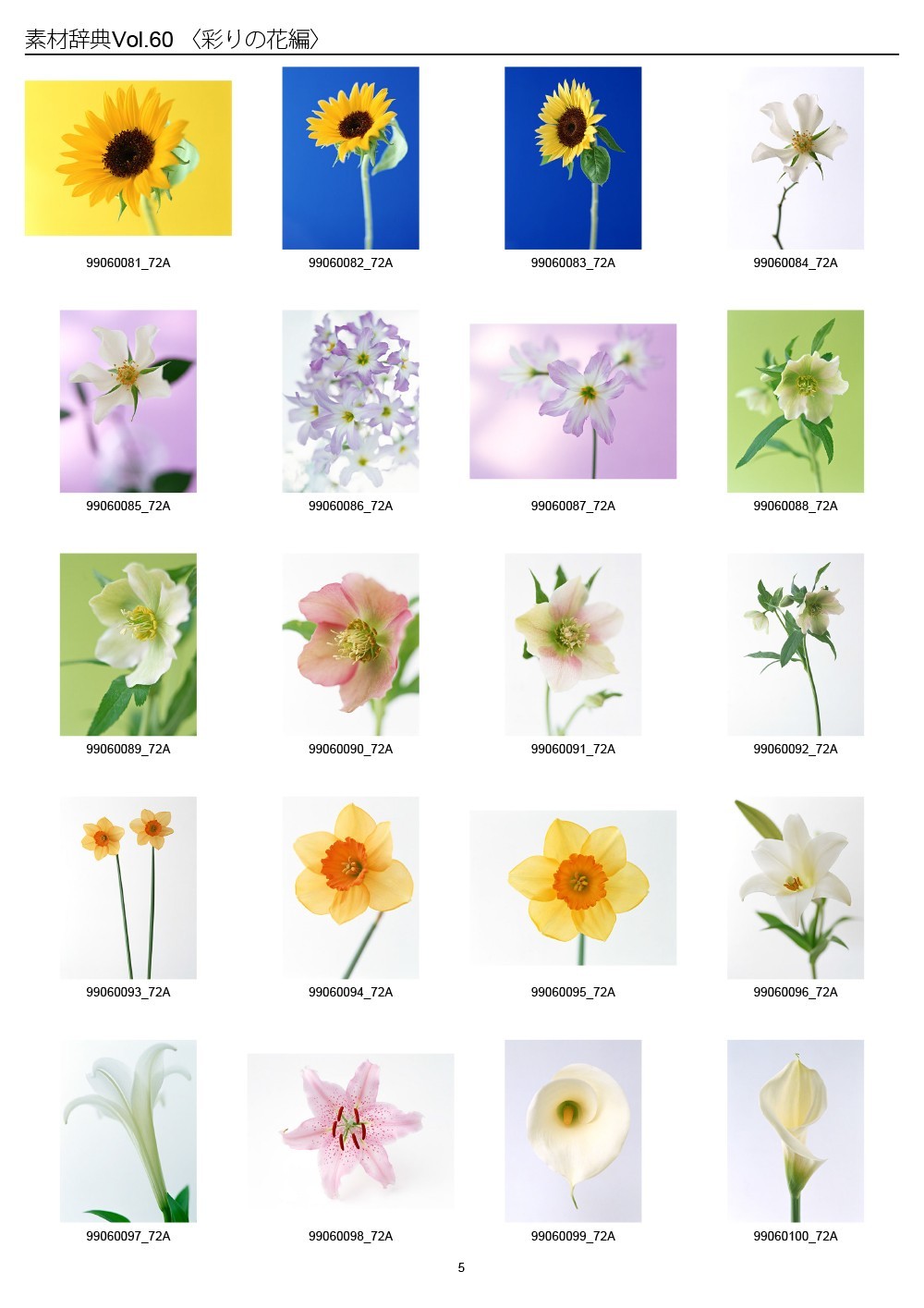 Colorful Flowers Japan Sozaijiten Vol.60 CD-ROM Mac Windows HR-SJ60 R7