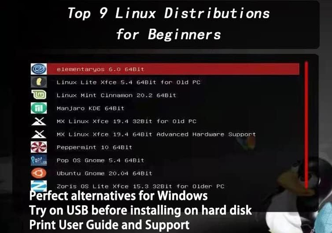 32GB 9-in-1 Linux bootable USB for Ubuntu,Linux Mint,Mx Linux,Zorin OS,Linux Lit