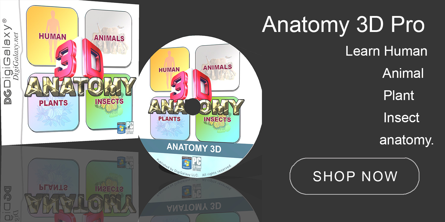ANATOMY 3D – Human Anatomy, Animal, Plant, Insect (Windows or Mac)