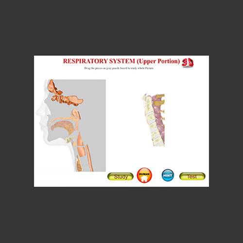 ANATOMY 3D – Human Anatomy, Animal, Plant, Insect (Windows or Mac)