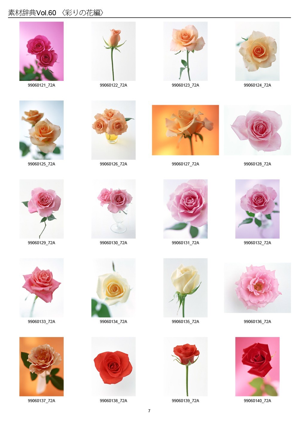 Colorful Flowers Japan Sozaijiten Vol.60 CD-ROM Mac Windows HR-SJ60 R7