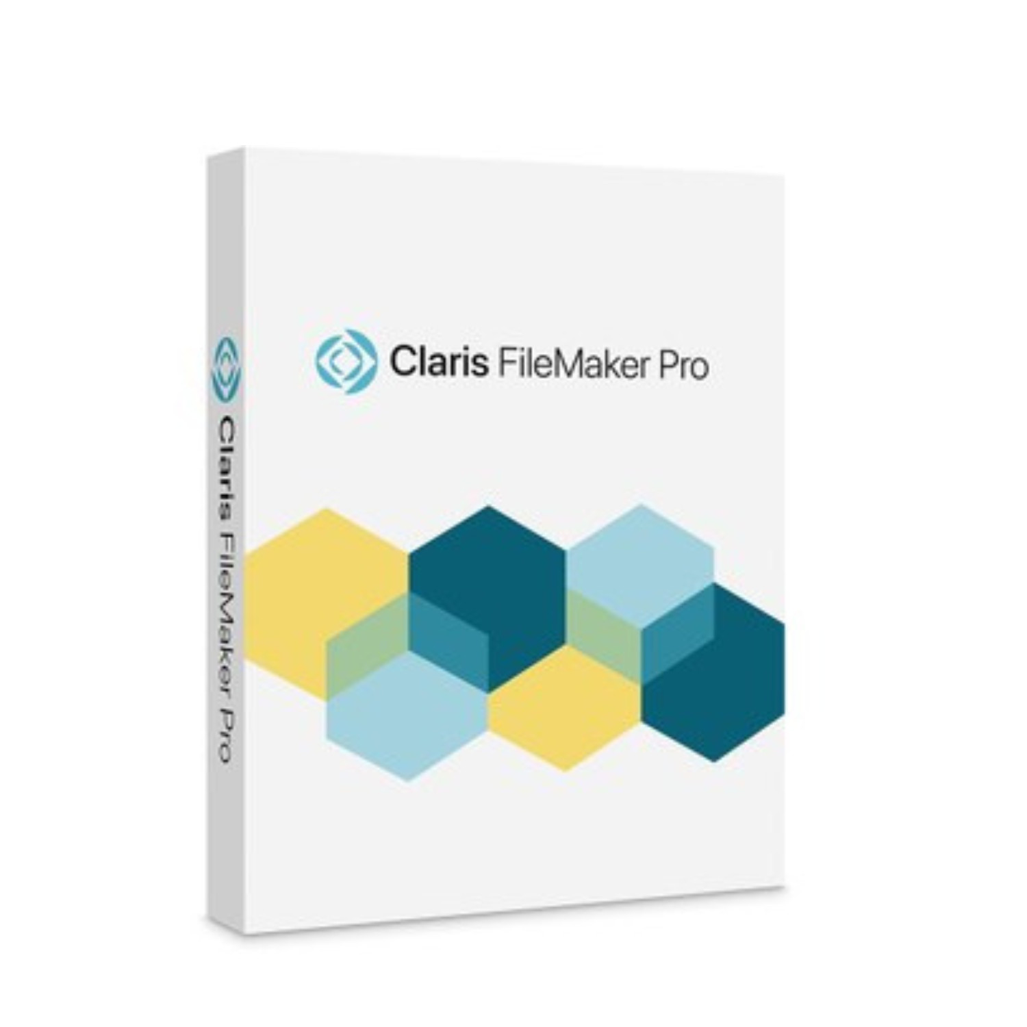 filemaker 19 pro