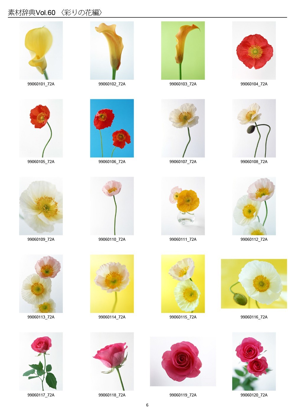 Colorful Flowers Japan Sozaijiten Vol.60 CD-ROM Mac Windows HR-SJ60 R7