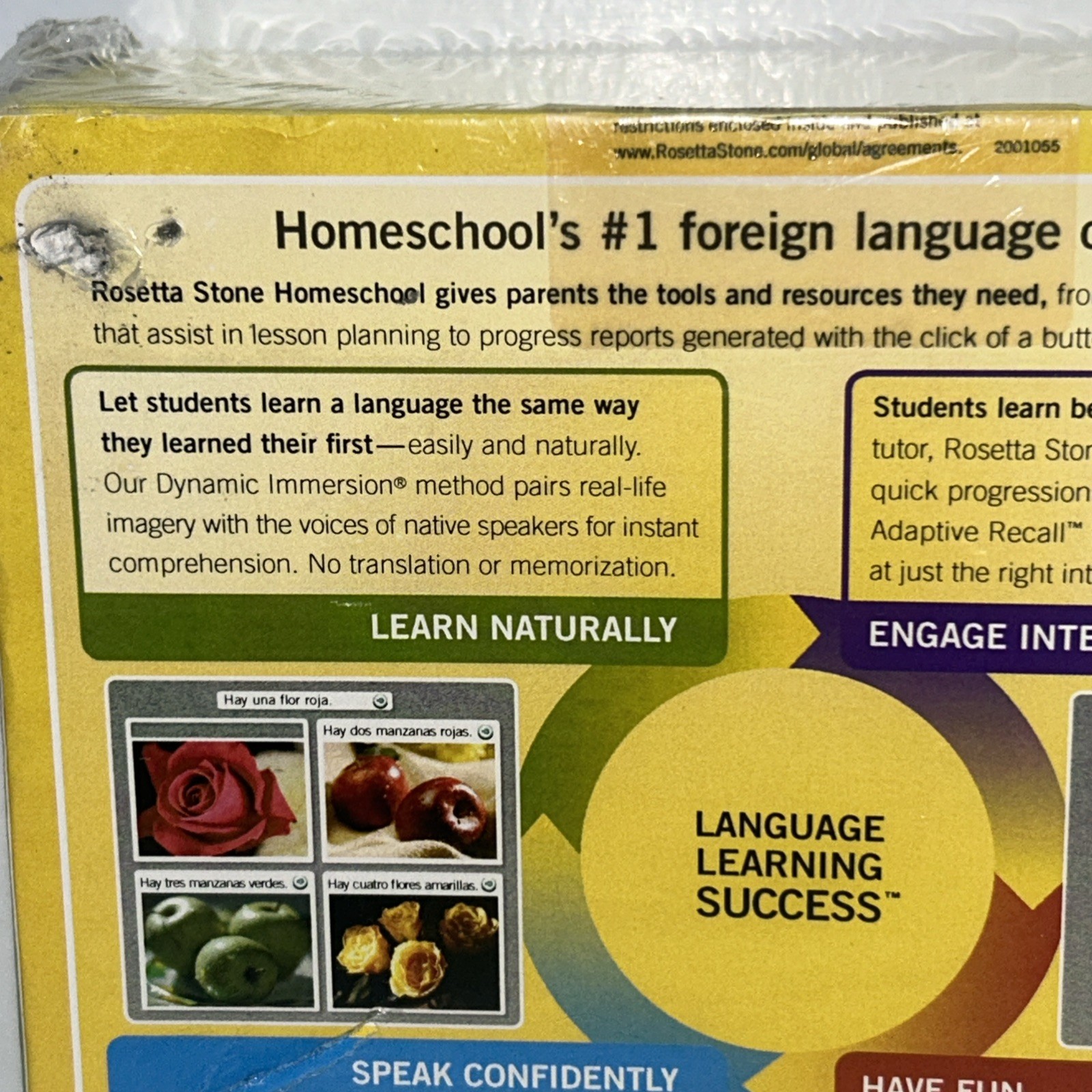 Rosetta Stone Homeschool German Level 1 including Audio Companion